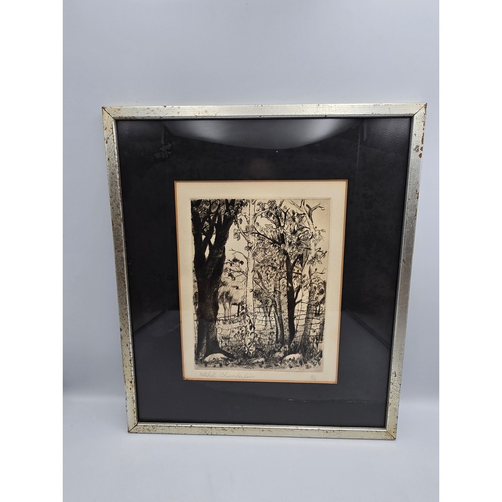 Mitchell Chamberlain Etching Art Signed‎ 6/10 Black Silver Frame Landscape Good